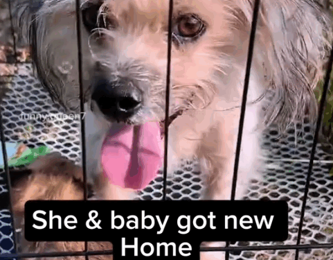 Meet the Happiest Mom in the world_part2