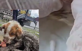 please friends qm humbly and kindly requesting on your support please_part2