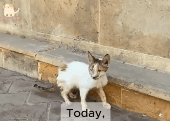 She didn’t give up. Neither did we._part2