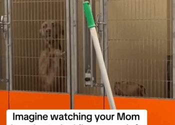 BukBuk’s Update, watch until the end please._part2