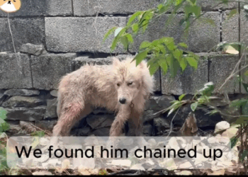 Abandoned. Sick. Hopeless. But He Still Believed in Us_part2