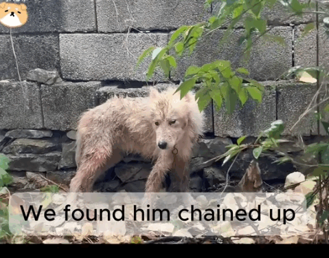 Abandoned. Sick. Hopeless. But He Still Believed in Us_part2