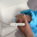 Part2 .Animals Rescue #dogrescue #rescuedog #dogsofttiktok #foryoupage #foryou #dogs
