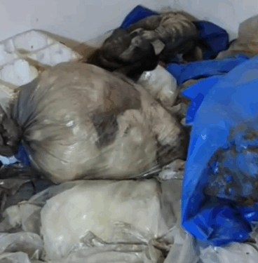 rescue of an abandoned dog in difficulty❤️ #heroes #rescue #dog #abandoned #helppuppysoftiktok_part2