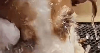 please friends you share with us anything you can even if it’s little it will make a change on our shelter please you’re_part2