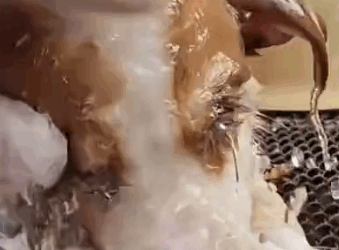 please friends you share with us anything you can even if it’s little it will make a change on our shelter please you’re_part2