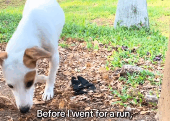 I think animals can sense who’s safe_part2