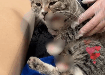 She’s like a gift from God to me_part2