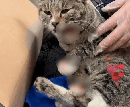 She’s like a gift from God to me_part2