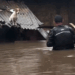 Man rescued poor dog from floodwaters_part2