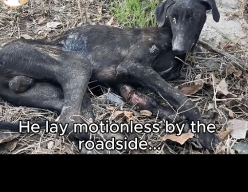 They Left Him Broken. We Helped Him Heal._part2