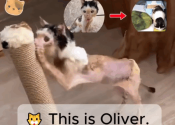 They didn’t want him… until they saw his pain_part2