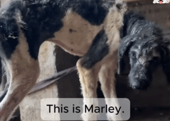 They Gave Up On Him. We Didn’t_part2