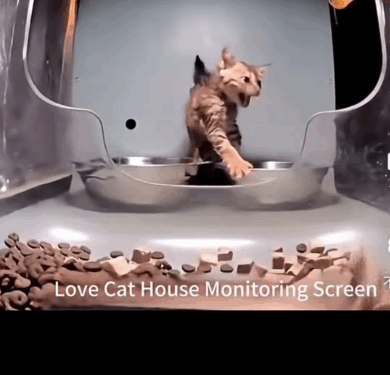 Part2. Animals Rescue #dogrescue #rescuedog #dogsofttiktok #foryoupage #foryou #dogs