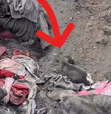 Rescuing a little fellow_part2