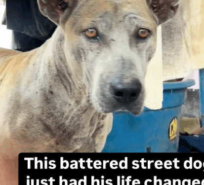 We’ve had a lot of characters here with us but I can safely say I’ve never_part2