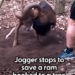 He was spinning around in circles — so the jogger had to be SO careful 💛 Footage provided by @viralhog_part2