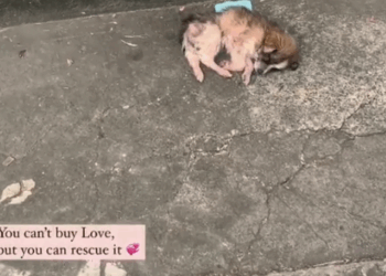 You can’t buy love, but you can rescue it_part2