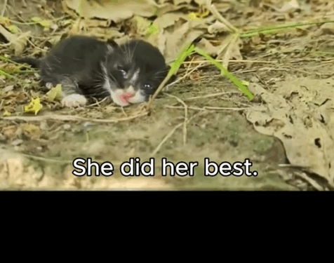 We Found a Family Living in Rubble… And Gave Them a Real Home._part2