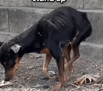 Her little happy hops are everything ❤️ Follow @Little Steps Matter Bali to learn more_part2