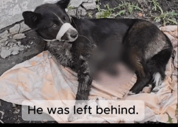 We Found Him Just in Time_part2