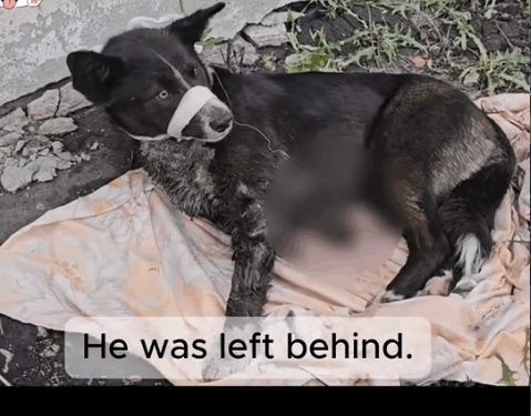 We Found Him Just in Time_part2