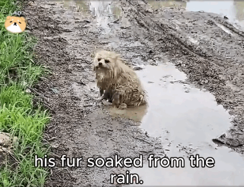 He Didn’t Cry. He Just Waited-_part2