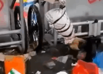 Part2:Animals Rescue #dogrescue #rescuedog #dogsofttiktok #foryoupage #foryou #dogs