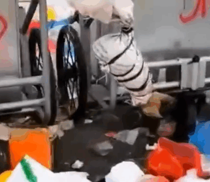 Part2:Animals Rescue #dogrescue #rescuedog #dogsofttiktok #foryoupage #foryou #dogs