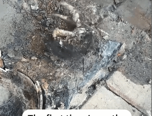 A little one sealed by cement#cat#cats#catsoftiktok #rescueanimals #rescuecat_part2