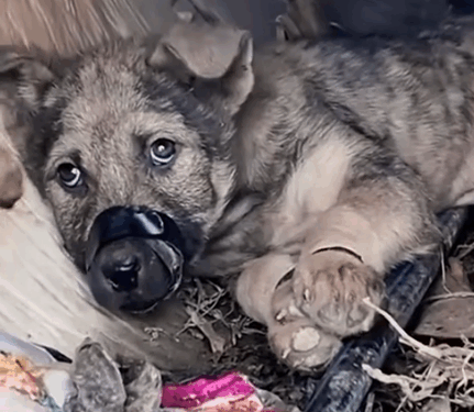 This Story will break your heart,_part2