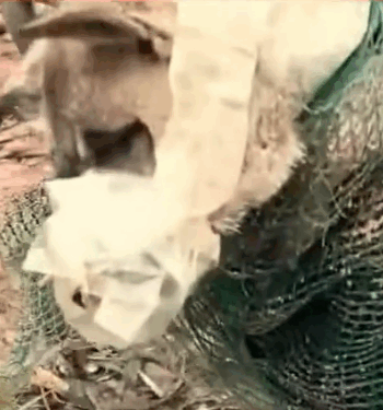 This Story will break your heart_part2