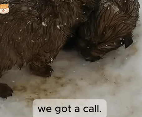 Born in a Snowstorm. Raised with Love._part2