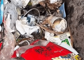 Part2. Animals Rescue #dogrescue #rescuedog #dogsofttiktok #foryoupage #foryou #dogs