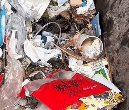 Part2. Animals Rescue #dogrescue #rescuedog #dogsofttiktok #foryoupage #foryou #dogs