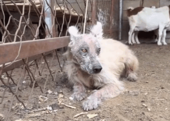 Found Him… But He Found Me._part2