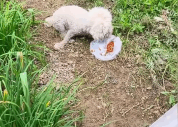 4 Staying On This Video Comment and Repost Will Help Us To Get Her Medical Needs_part1