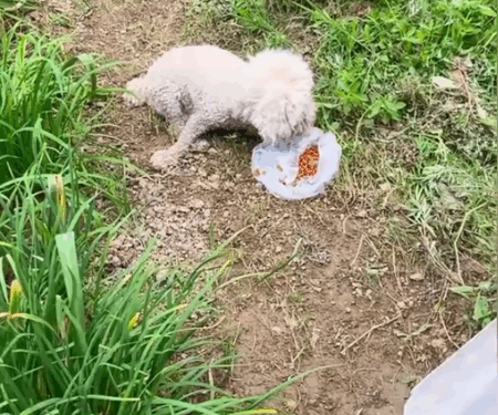 4 Staying On This Video Comment and Repost Will Help Us To Get Her Medical Needs_part1