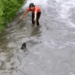 A kind person rescued a small dog in the stream, and now the dog has grown up_part2