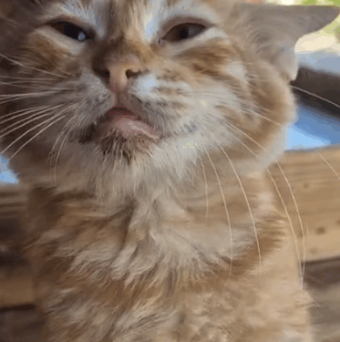 I can’t save them all..but i will sure help as much as i can🥺_part2