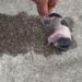 parrt2.Animals Rescue #dogrescue #rescuedog #dogsofttiktok #foryoupage #foryou #dogs