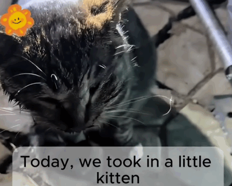 He cried out for help… even with a shattered skull._part2