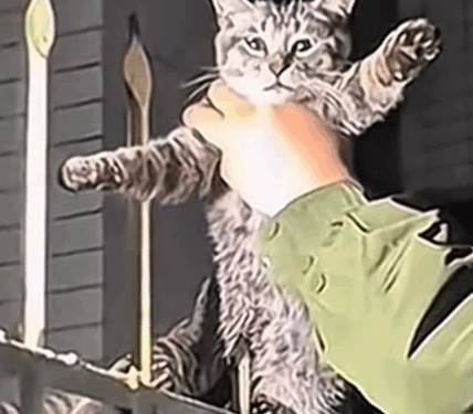 Part2. Animals Rescue #dogrescue #rescuedog #dogsofttiktok #foryoupage #foryou #dogs